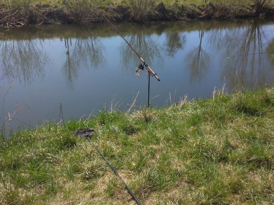 Leine (Alfeld/Leine)-4