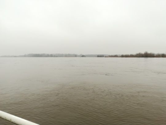 Elbe (Sandau/Elbe)-3