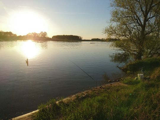 Elbe (Sandau/Elbe)-4