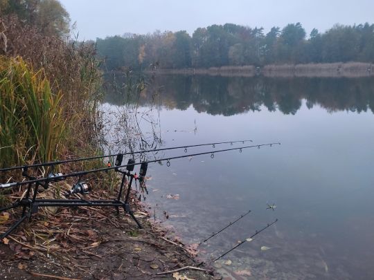 Großer See (Harnekop)-1