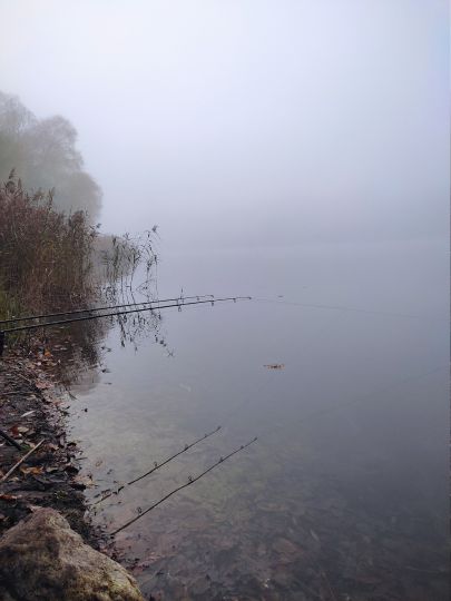 Großer See (Harnekop)-2