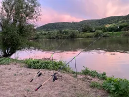 Mosel (Bremm/Ediger-Eller)