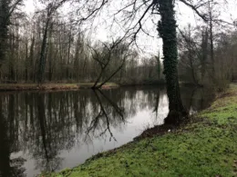 Altarm Rur (Rurdorf)