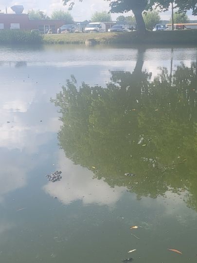 Kemnitz / Hanshagener Bach