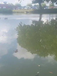 Kemnitz / Hanshagener Bach