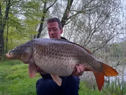 Altarm Terwisch (Detern)