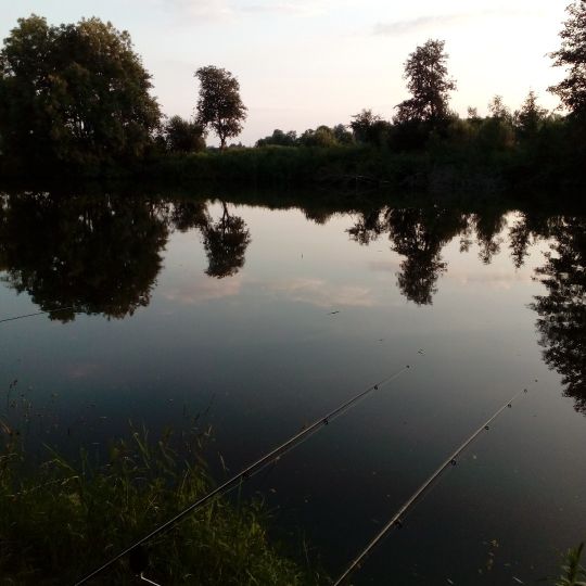 Altarm Terwisch (Detern)-1