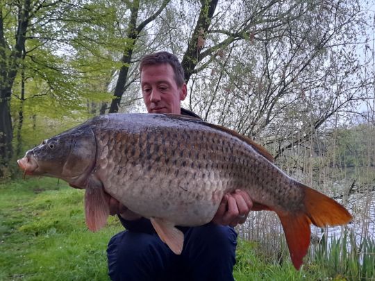 Altarm Terwisch (Detern)-4