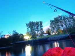 Donau (Munderkingen)-1