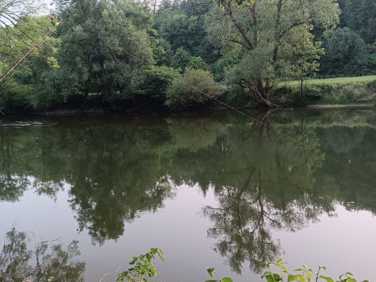 Donau (Munderkingen)-2