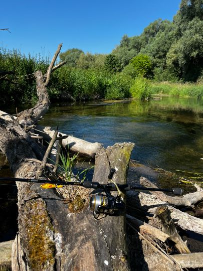 Paar (Ottmaring-Hügelshart)-3