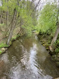 Paar (Ottmaring-Hügelshart)-1