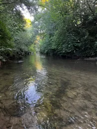 Paar (Ottmaring-Hügelshart)-2