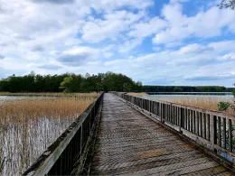 Großer Brückentinsee