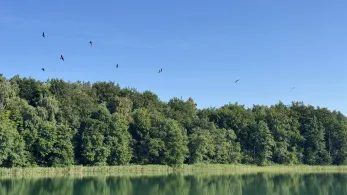 Großer Brückentinsee-4