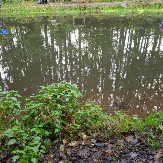 Forellenhof Niedersalbach-2