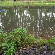 Forellenhof Niedersalbach-2