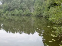 Gertrudensee (Greven)-0