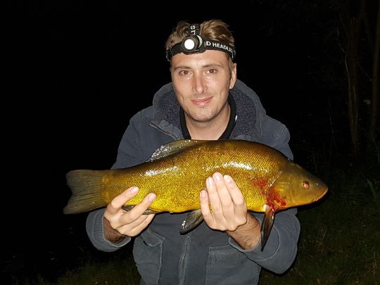 Gertrudensee (Greven)-1