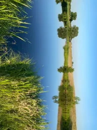 Kleine Rathswiehe (Ahausen)