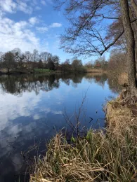 Haussee (Krummensee)-1