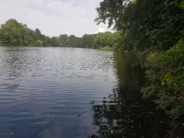 Haussee (Krummensee)-3