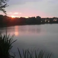 Lander (Groß Nordende)-3