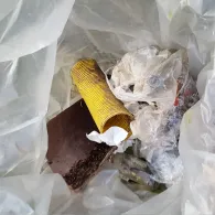 Sieg (Hennef/Sieg)-1