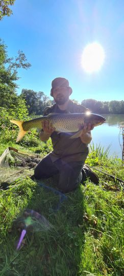 Schäfferweiher (Niederwinkling)