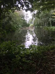 Gehren/Parkteich Sonnewalde