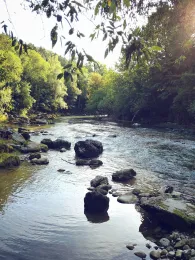 Mangfall (Feldkirchen-Westerham)-2
