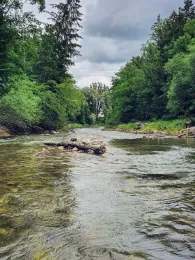 Mangfall (Feldkirchen-Westerham)-1
