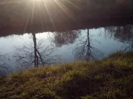 Innerste (Hildesheim)