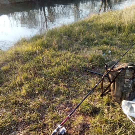 Innerste (Hildesheim)-3