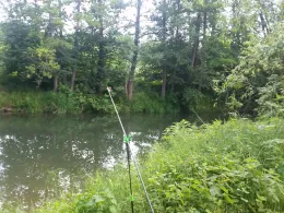 Innerste (Hildesheim)-1