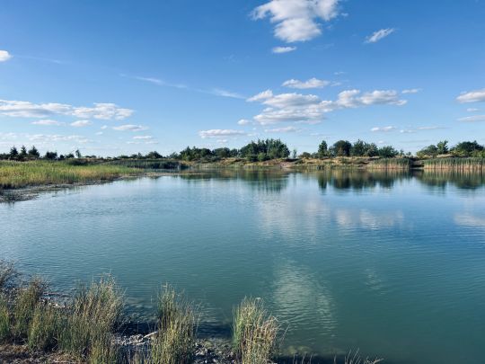 Hermannsee (Mechelroda)-1