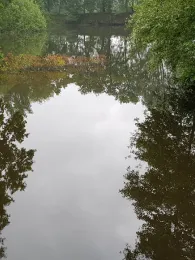 Fischteich Hochtanger Weg-2