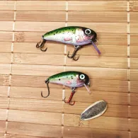 Aschaff (Aschaffenburg)