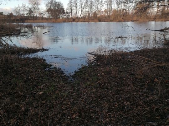 Panzerkuhle (Krugsdorf)-1