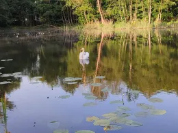 Panzerkuhle (Krugsdorf)-3