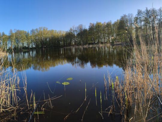 Panzerkuhle (Krugsdorf)-4