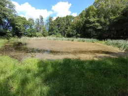 Kapellenteich (Hohen Schwarfs)