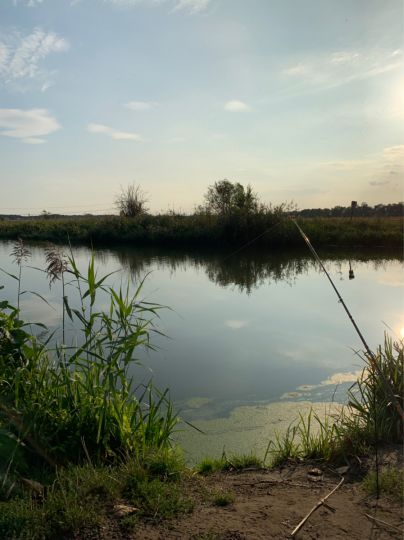 Nuthe (Großbeuthen-Gröben)-3