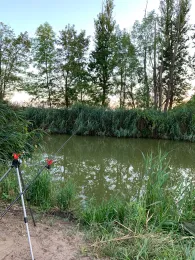 Nuthe (Großbeuthen-Gröben)-4