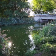 Nuthe (Großbeuthen-Gröben)-2