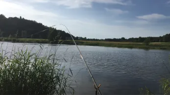 Regen (Reichenbach)-1