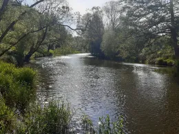 Regen (Reichenbach)-2