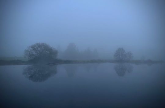 Regen (Reichenbach)-4