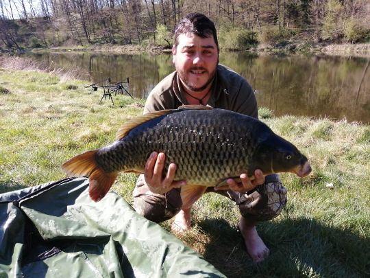 Regen (Reichenbach)-3