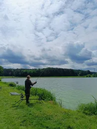 Hofweiher (Krebener Weiher)